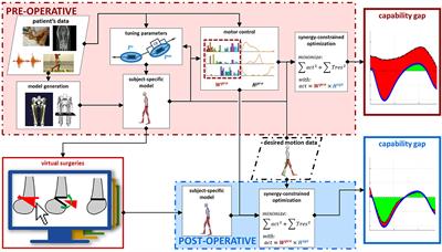 SimCP: A Simulation Platform to Predict Gait Performance Following Orthopedic Intervention in Children With Cerebral Palsy